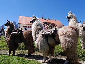 Drei Zinnen Hütte