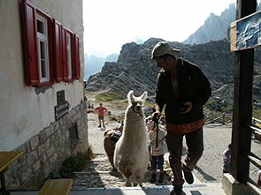 Mountain hut Antonio Locatelli