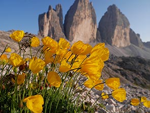 Three Peaks in the Dolomites