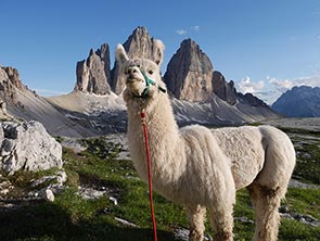 Tre Cime di Lavaredo